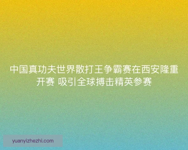 中国真功夫世界散打王争霸赛在西安隆重开赛 吸引全球搏击精英参赛
